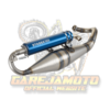 EXHAUST STAGE6 PRO REPLICA MK2 BLUE PIAGGIO