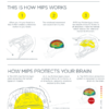 Thor Reflex Carbon Polar MIPS® ECE Helmet - Image 4