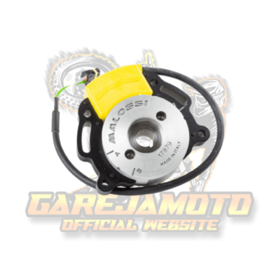 INNER ROTOR IGNITION MALOSSI MHR TEAM 2 PIAGGIO LC