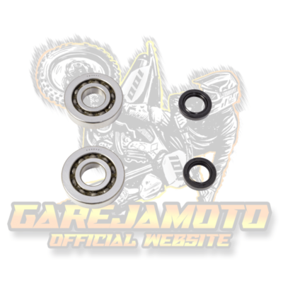 NARAKU CRANKSHAFT BEARINGS PIAGGIO