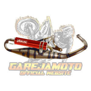 Exhaust Yasuni R-Pro Piaggio Orange